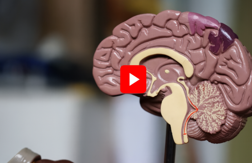 Screenshot 2025-11-28 155912